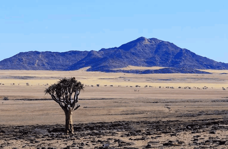 外贸, 外贸公司开发, 外贸公司 外贸, 外贸公司开发, 外贸公司