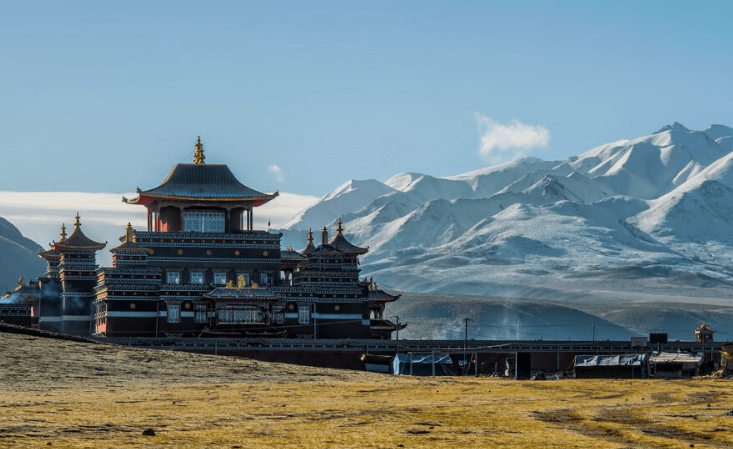 蒙古国海关数据查询平台（附免费试用查询平台）